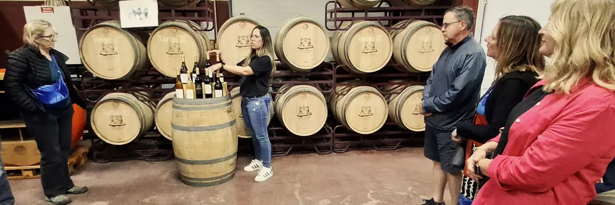 Guests in the barrel cellar of the winery during the wine tour